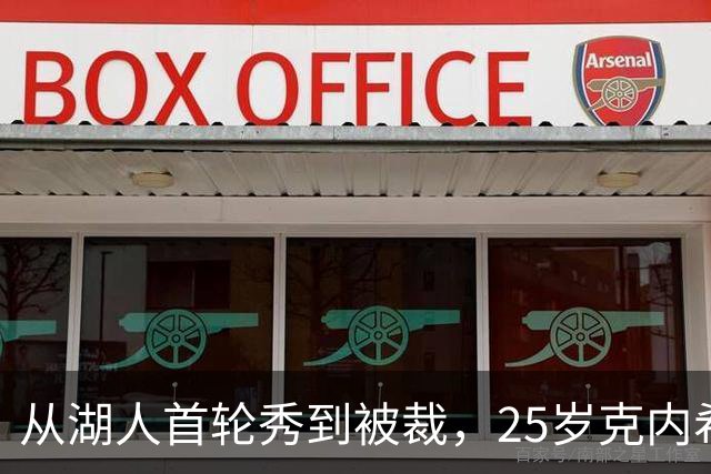 从湖人首轮秀到被裁，25岁克内希特转投尼克斯