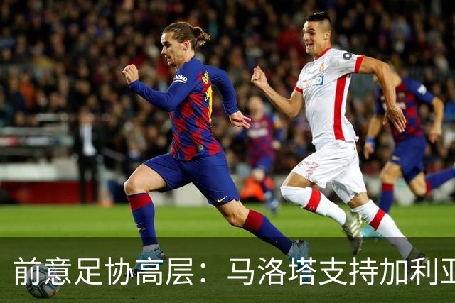 前意足协高层：马洛塔支持加利亚尼竞选足协主席，意甲已分裂