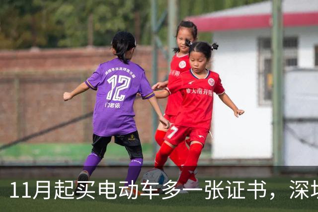 11月起买电动车多一张证书，深圳600万辆存量车不用换